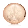 905085c3927040f697d49c9c8b0240e4 CHARLOTTE TILBURY Airbrush Bronzer