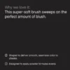 BOBBI BROWN Blush Brush