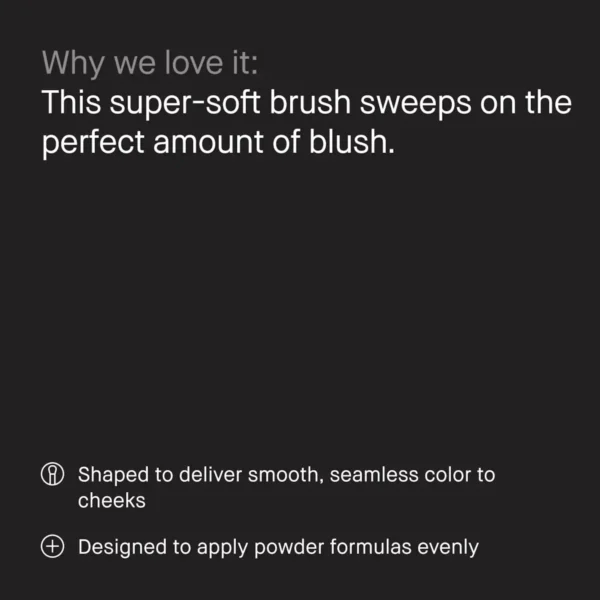 BOBBI BROWN Blush Brush